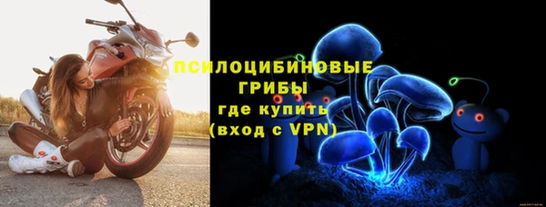 гидра Волоколамск