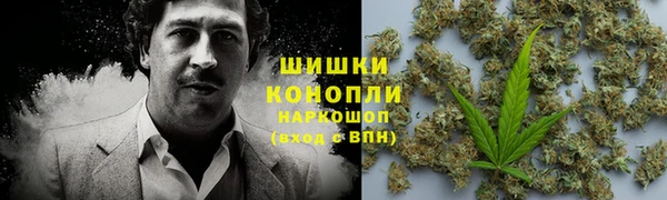 гидра Волоколамск