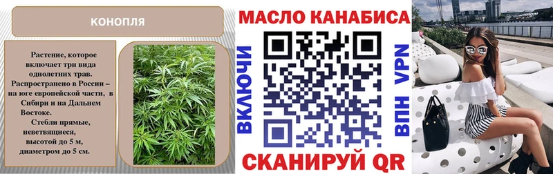 ТГК THC oil  это формула  Новоржев  где продают наркотики  ссылка на мегу рабочий сайт 