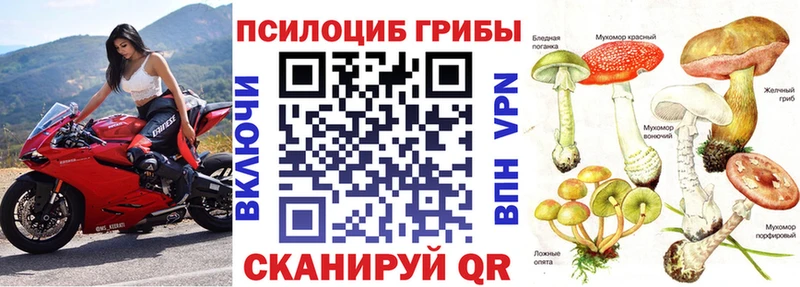 Галлюциногенные грибы ЛСД Новоржев