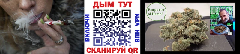 Шишки марихуана Bruce Banner  Новоржев 